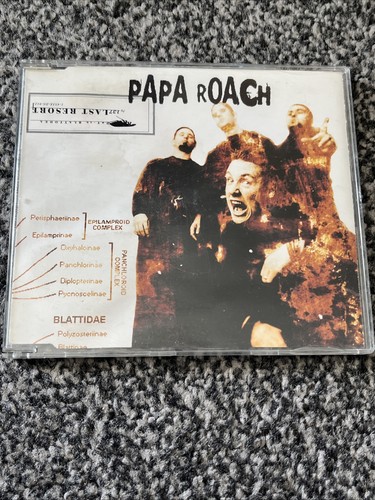 Papa roach last resort - roach,