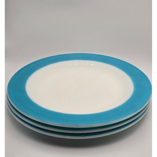 Vintage pyrex dinner plates - vintage,