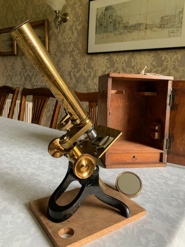 Antique victorian society - antique, of