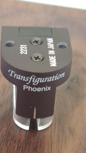 Transfiguration phoenix moving - transfiguration,