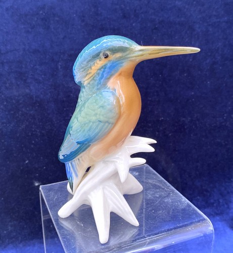 Karl ens kingfisher - karl,