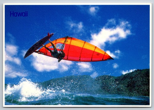 Windsurfing sport hawaii - sport, lg