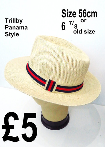 Unisex adults beige panama - adults,