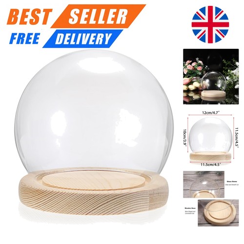 Clear glass globe - clear,