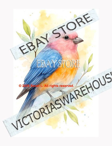 Bluebird portrait tin - bluebird, sign