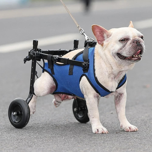 Dog wheelchair adjustable - dog,