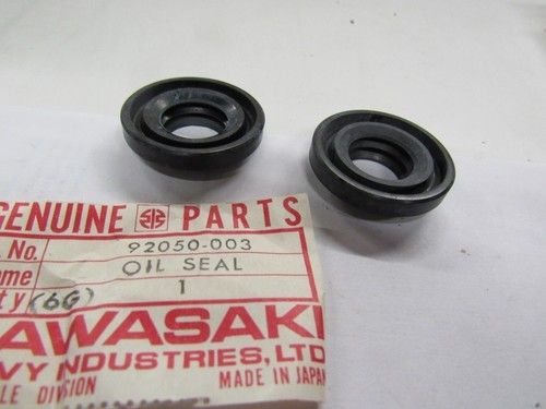 Kawasaki kv g3 - h1,