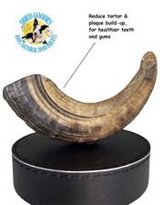 100% Natural Lamb Horn Luxury