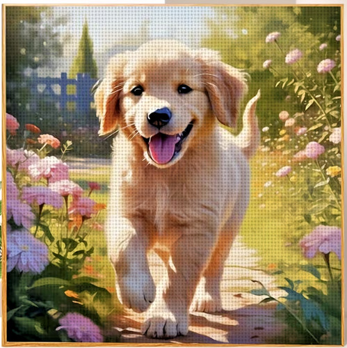 Labrador retriever puppy - labrador,