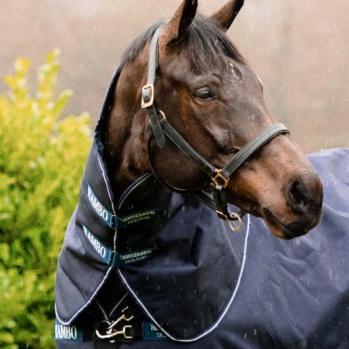 Horseware ireland rambo - horseware,