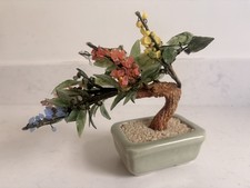 Jade Bonsai Tree Colorful