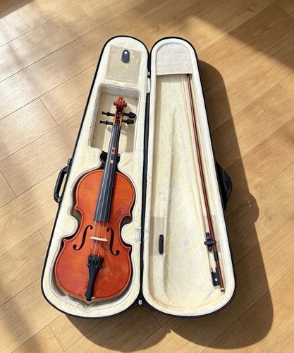 Beautiful violin 5 - violin, 3/4
