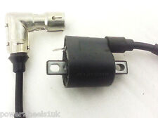 IGNITION COIL FOR BASHAN