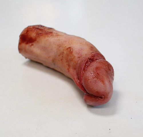 Severed silicone penis - penis, sfx