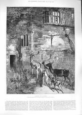 Original Old Antique Print 1884 Haunted House Building Deer Animals Fine Art