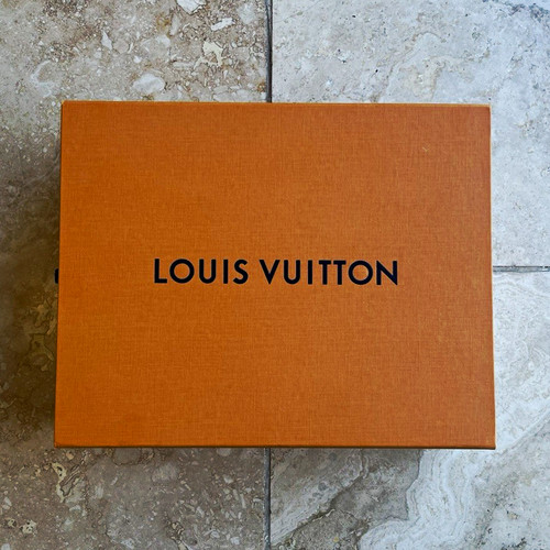 Louis vuitton skate - vuitton, trainers