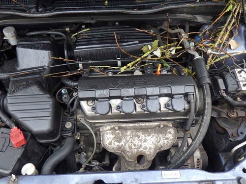 2000 2005 mk7 honda - mk7, civic