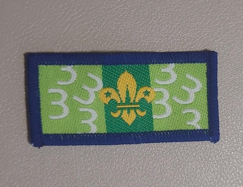 Scouting discontinued - scouting,