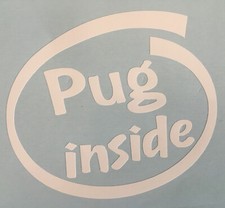 PUG INSIDE DOG PUP ON BOARD