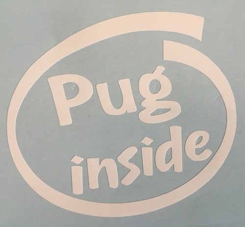 Pug inside dog pup - pup, on