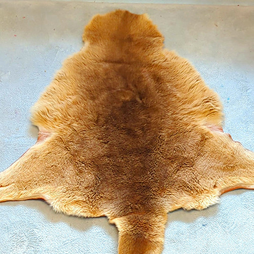 Natural fur animal - fur, skin