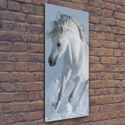 Wall art print perspex - wall,