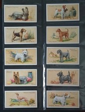 Hignett: Dogs 1936 Full Set 50
