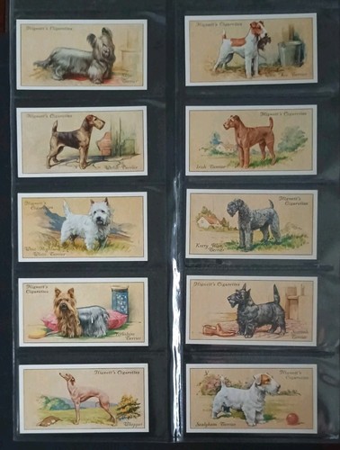 Hignett dogs 1936 - full, set
