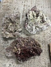 10kg Real Reef Rock Aquarium