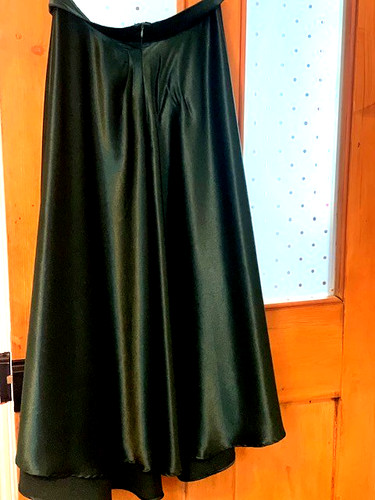 Bnwot ladies coast skirt - coast, size