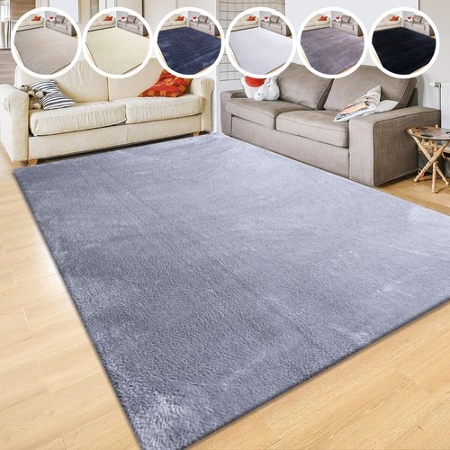 Modern large rugs for living - large,