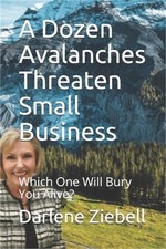 A Dozen Avalanches Threaten Small Business: Which One Will Bury You Alive? (Pape