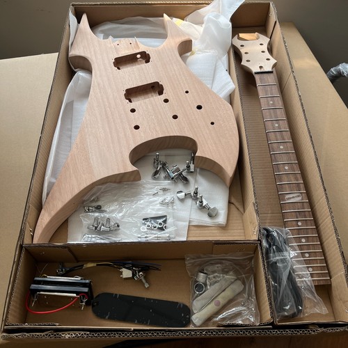 Warlock diy electric guitar - warlock,