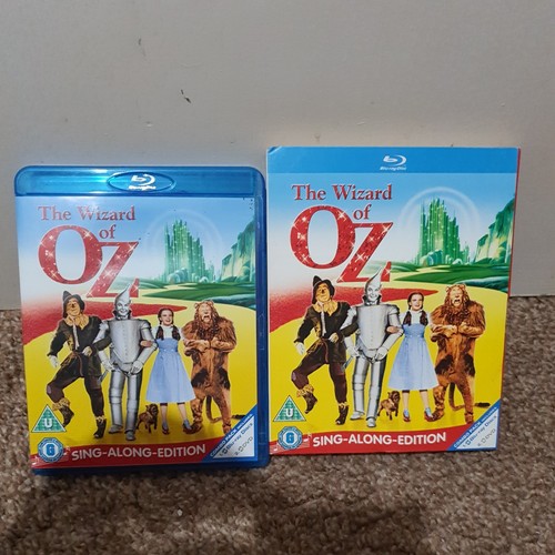 The wizard sing along - the,