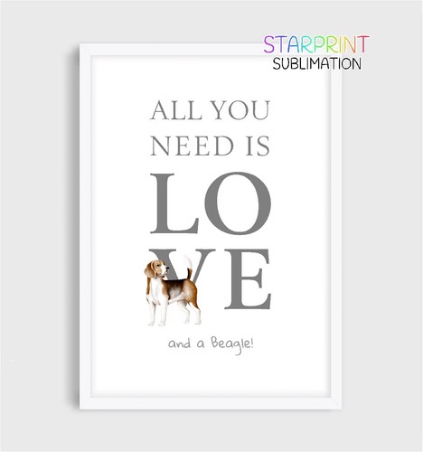 Beagle all you need - "all,