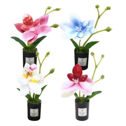 4pcs compact faux - 4pcs, butterfly