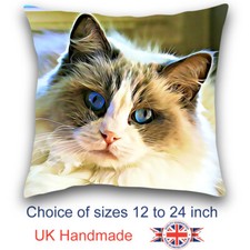 Ragdoll Cat Cushion Design, Cat Art Cushion, Ragdoll Cat Pillow