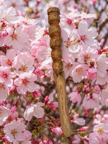 Cherry wood wand - wood,
