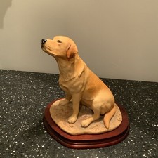 Border fine arts Yellow