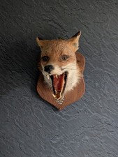 Taxidermy Fox Mask, Marked