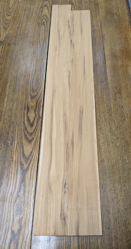 Rare american chestnut select - american,