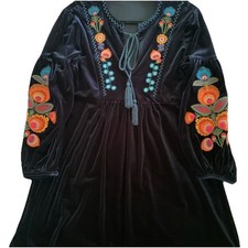 Zara Embroidered Velvet Dress