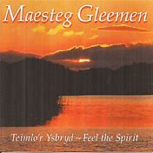Maesteg gleemen teimlo r - maesteg,