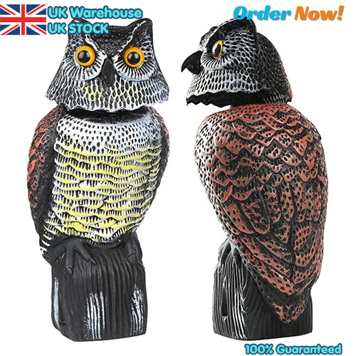 Large realistic owl decoy - large,