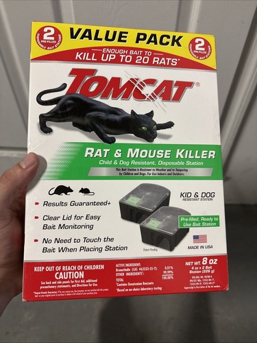 Tomcat rat and mouse - tomcat,