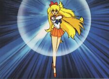 Sailor Moon Series 3 (2000)   Sailor Moon CCG (2001)   Individual Trading Cards