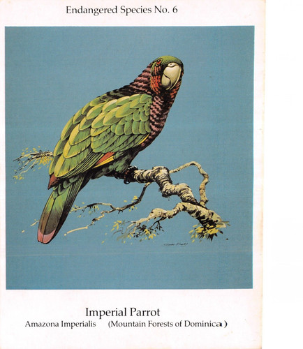 Birds postcards imperial - birds,