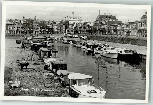 39576803 scheveningen - -,