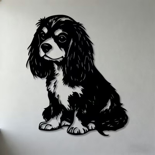 Cavalier king charles spaniel - charles,