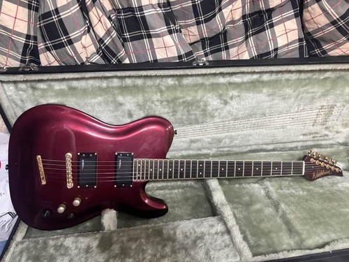 Washburn wt100 case - wt100,